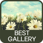 Best Gallery icon