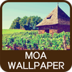 Moa Wallpaper