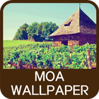 ikon Moa Wallpaper
