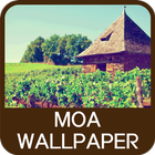 Moa Wallpaper آئیکن