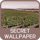 Secret Wallpaper aplikacja
