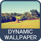 Dynamic Wallpaper icono