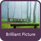 Brilliant Picture icon