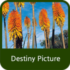 آیکون‌ Destiny Picture