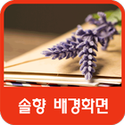 솔향 배경화면 আইকন