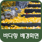 바다향 배경화면 아이콘