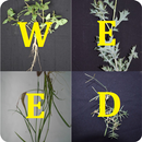 Weed Science Quiz APK