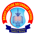 Bright Future Secondary School icône