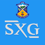 SXG アイコン