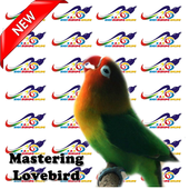 Mastering Lovebird icon