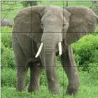 Gajah - Puzzle Hewan icône