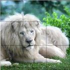 Singa - Puzzle Hewan biểu tượng