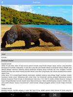 Buku Saku : Fauna Indonesia poster