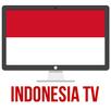 Indonesia tv APK