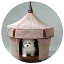 Indoor Dog House Designs APK