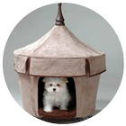 Indoor Dog House Designs icône