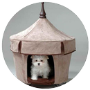 Indoor Hundehaus Designs APK