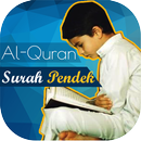 Surah Pendek AlQuran Mp3 APK