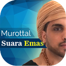 Murottal Omar Hisham Al Arabi Mp3 APK