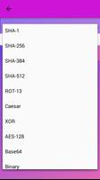 Encryption & Decryption Tool (Offline) screenshot 2