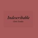 Indescribable Lyrics APK