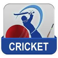 India Cricket Affiche