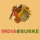 India Burke ícone