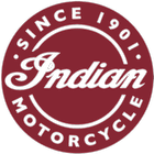 Indian Diagnostics icône