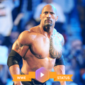 WWE Video and Image For What's Apps