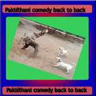 Pakistani Comedy Back To Back icône