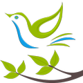 Indian Birds
