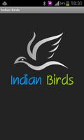 Indian Birds Affiche