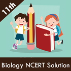 Class 11 Biology NCERT Solutions icône