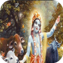 New HD Krishna  Gif APK