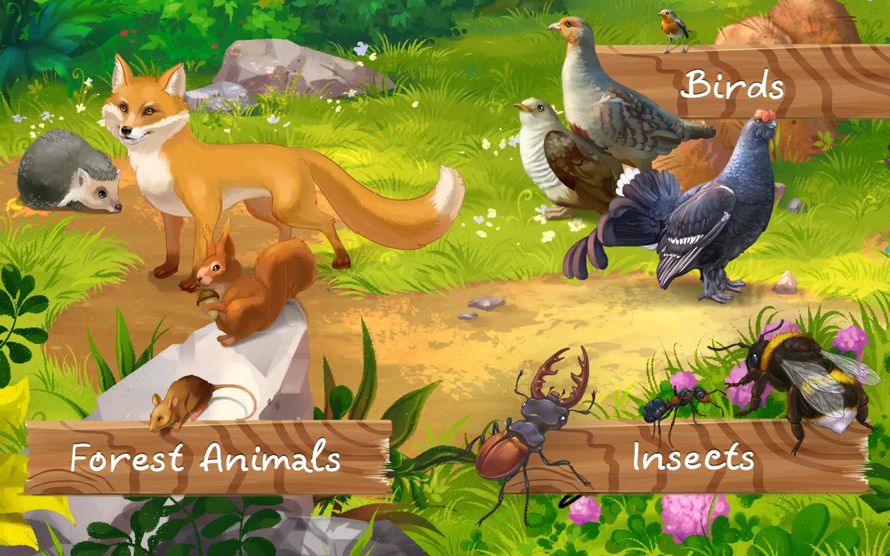 Forest Animals encyclopedia APK for Android Download