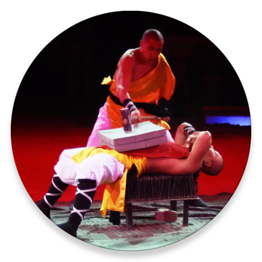 Shaolin Kung Fu Videos