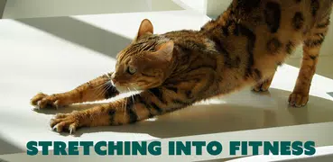 TSA : Stretching Exercises
