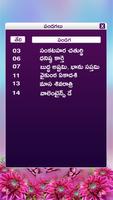 Telugu Calendar Panchangam 2018 capture d'écran 3