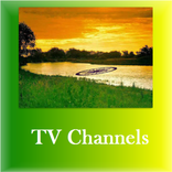 All TV Channels