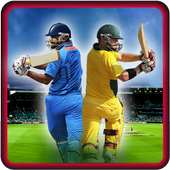 IND vs AUS Cricket Game 2017 иконка