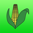 Alliance Grain icône