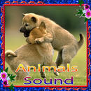 Animal Sounds APK