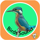 Icona Birds Sound