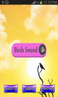 Poster Birds Sound