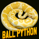 Stormtrooper Ball Python aplikacja