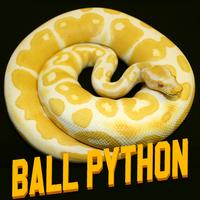 Ball Python Wallpaper تصوير الشاشة 1