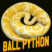 Stormtrooper Ball Python Ekran Görüntüsü 1