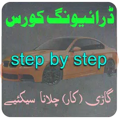Learn Driving in Urdu ( Driving Sekhain )