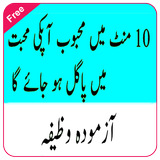 Dil Mein Mohabbat Paida Karna أيقونة