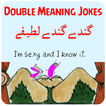 Double Meaning Dirty Jokes ( Non veg Jokes )